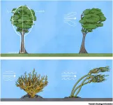 Better predicting how plants and animals will weather climate extremes