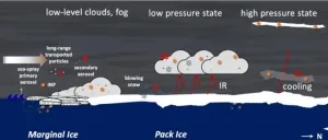 Better understanding the reasons behind Arctic amplified warming