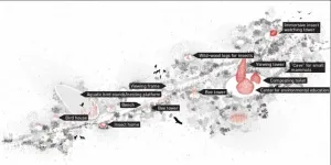 Between building and unbuilding: An interdisciplinary design approach to cohabitation, material cycles, and traditional ecological knowledge