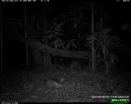 Beware of the full moon: Tropical forest mammals shy away from the moonlight