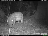 Beware of the full moon: Tropical forest mammals shy away from the moonlight 2