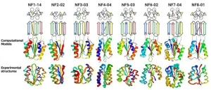 Beyond nature's imagination: Scientists discover extensive array of protein folds unexplored in nature