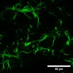 Big impacts from small changes in cell 2