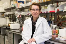 Binghamton University biologist named Fellow of American Academy of Microbiology