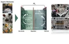 Bio-electrochemical cell producing hydrogen from microorganisms in waste: Pathway to large-scale implementation unveiled 3