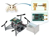 Bio-hybrid drone uses silkworm moth antennae to navigate using smell