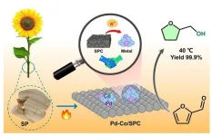 Biochar-based catalyst converts biomass into valuable chemicals under mild conditions