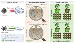Biochar particle size found to shape disease control in crops