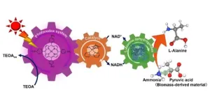 Biodegradable nylon precursor produced through artificial photosynthesis