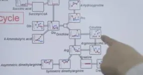 Bioengineered yeast mass produces herbal medicine 2