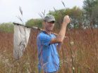 Biofuel grasslands better for birds than ethanol staple corn, researchers find