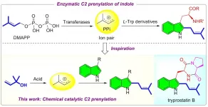 Bioinspired acid-catalyzed C2 prenylation of indole derivatives