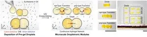 Bioinspired droplet-based systems herald a new era in biocompatible devices 2