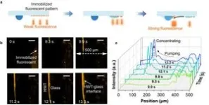 Bioinspired hydrogel pattern enhancing atmospheric water harvesting via directional droplet steering 2