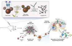 Biomaterial vaccines ward off broad range of bacterial infections and septic shock