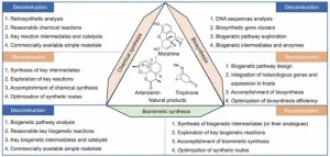 Biomimetic synthesis of natural products: Progress, challenges and prospects