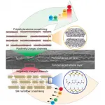 Bionic idea boosts lithium-ion extraction