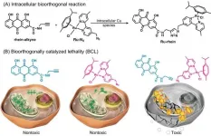 Bioorthogonally catalyzed lethality strategy generates targeting drugs within tumor