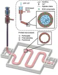 Bioprinting methods for fabricating in vitro tubular blood vessel models