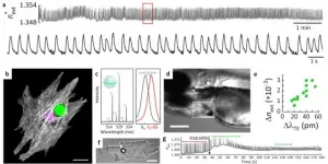 Biosensing with whispering-gallery mode lasers