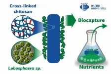 Biotechnologists developed an effective technology for nutrient biocapture from wastewater