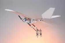 Bird-inspired drone can jump for take-off 2