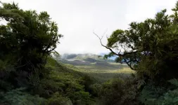 Birds and bee lessons as Pacific field trips also solve 'Michener's mystery'