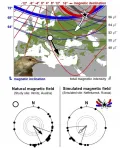 Birds can read the Earths magnetic signature well enough to get back on course