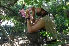 Birds do it, bees do it … sip alcohol, that is 2