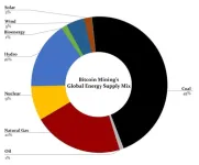 Bitcoin mining has “very worrying” impacts on land and water, not only carbon, UN-led study reveals