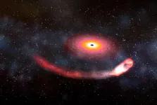 Black hole-neutron star collisions may help settle dispute over Universes expansion