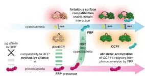 Blind dating in bacteria evolution