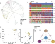 Blueprint for blueberry improvement: genetic and epigenetic discoveries