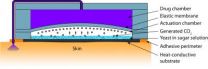 Body heat, fermentation drive new drug-delivery micropump   