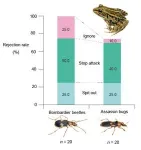 Bombardier vs. assassin: Mimetic interactions via a shared enemy 2