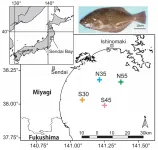 Bone collagen of fish shows individual history of migration and feeding habits