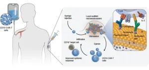 Boosting CAR-T cell therapies from under the skin