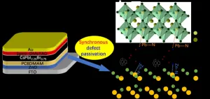 Boosting solar cell energy capture efficiency with a fullerene-derivative interlayer