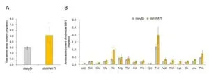 Boosting the nutritional value of black soldier fly larvae with biotechnology 2