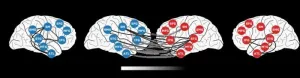 Brain activity associated with specific words is mirrored between speaker and listener during a conversation