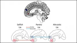 Brain activity reveals when white lies are selfish