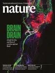 Brain drain - nasopharyngeal lymphatics found to be crucial for cerebrospinal fluid outflow 2