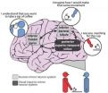 Brain mapping confirms patients with schizophrenia have impaired ability to imitate