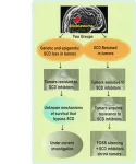 Brain tumor study reveals surprising gene deletion and method to overcome drug resistance