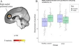 Brain volume changes seen in opioid users 2