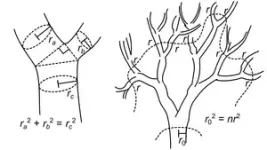 Branch patterns in trees and art 2