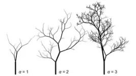 Branch patterns in trees and art 3