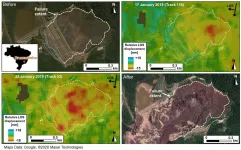 Brazilian dam collapse could have been predicted with right monitoring technology