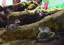 Brazilian fossils reveal jaw-dropping discovery in mammal evolution