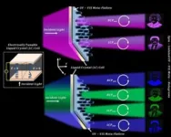 Breaking barriers: Advancements in meta-holographic display enable ultraviolet domain holograms